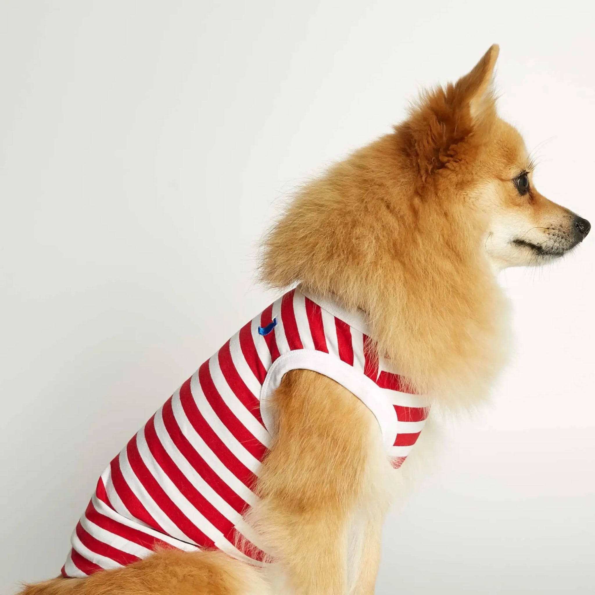 Daniel Bodysuit // Hundetrøje i økologisk bomuld (rød)