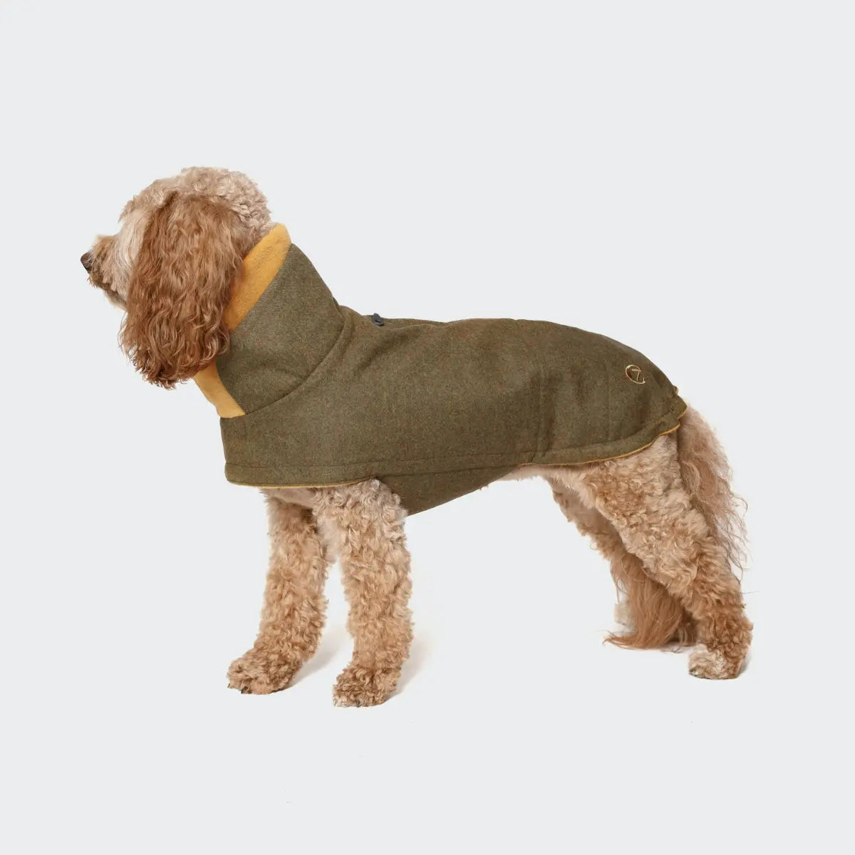 Cloud7 Brooklyn // Warm and water-repellent dog jacket (autumn green)