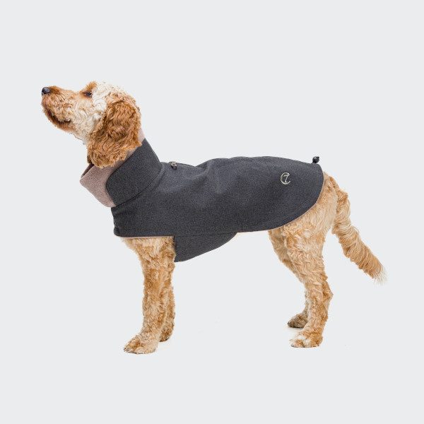 Cloud7 Brooklyn // Warm and water-repellent dog jacket (graphite) Size 1