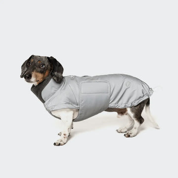 Cloud7 Brooklyn, Dachshund // Warm and water-repellent dog jacket (reflective)