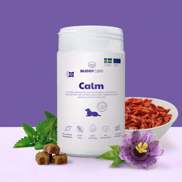 Buddy Calm // Naturligt kosttilskud med beroligende effekt