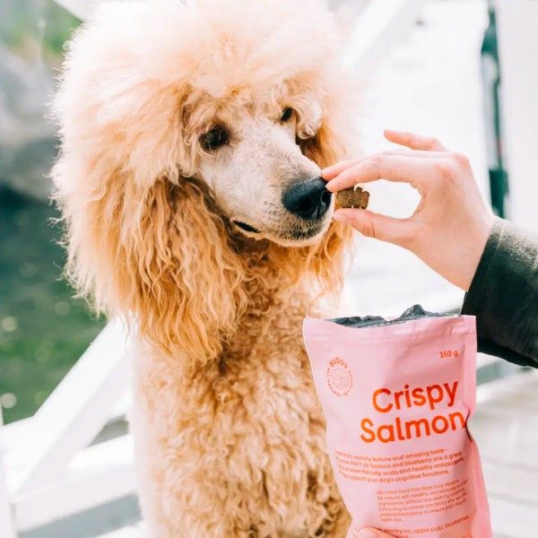 Buddy Crispy Salmon // Sprøde godbidder med laks og ærter