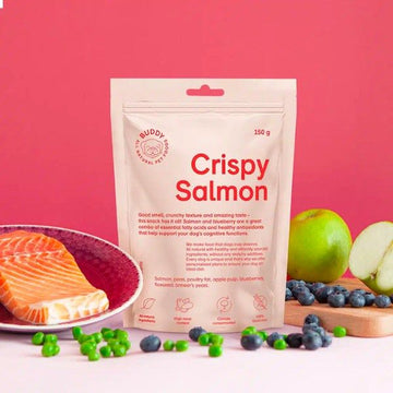Buddy Crispy Salmon // Crispy treats with salmon and peas