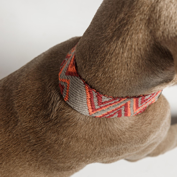 Buddys Dogwear Peruvian Pikes // Bredt og let halsbånd (orange)