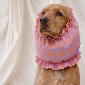 Cafide Snood // Protective Hood for Dogs with Long Ears (violet vichy)