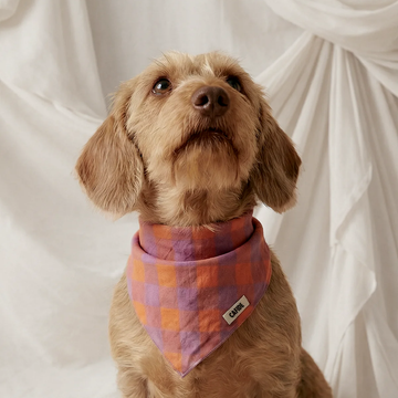 Cafide Bandana // Hundebandana i bomuld (violet vichy)