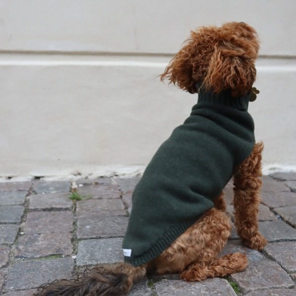 Calimar Sweater // Strikket hundesweater i uld (mørkegrøn)