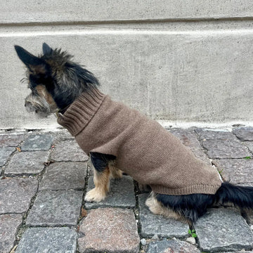 Calimar Sweater // Knitted dog sweater in wool (brown)