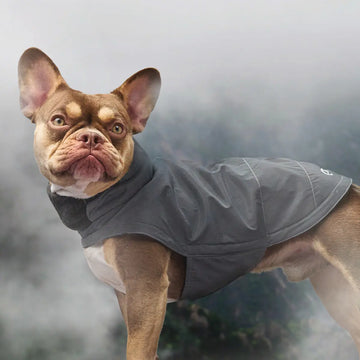 Cloud7 Brooklyn, French Bulldog // Warm and water-repellent dog jacket (reflective)