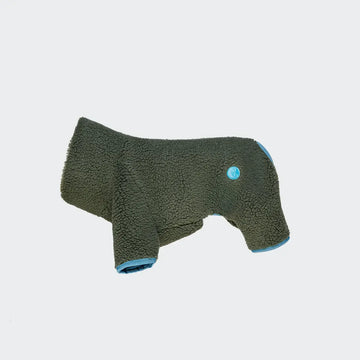 Cloud7 Cornwall, French Bulldog // Teddy sweater with legs (olive)