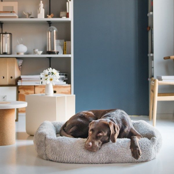 Cloud7 Sleepy // Eksklusiv hundeseng i boucle uld (teddy)