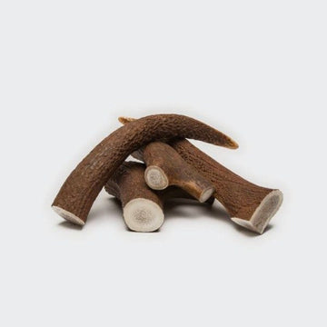 Natural Chew // Tyggeben af hjortegevir