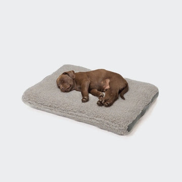 Cloud7 Siesta // Eksklusiv hundepude i blødt boucle uld (teddy)