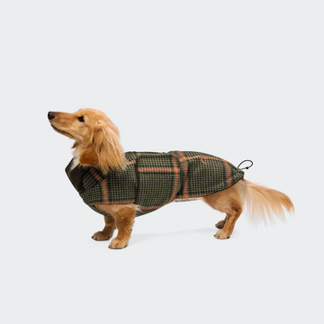 Cloud7 Brooklyn, Dachshund // Warm and Water-Repellent Dog Coat (flannel tartan green)