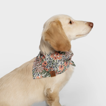 Cloud7 LTTL Bandana // Hundebandana til hvalpe og små hunde (blossoms)