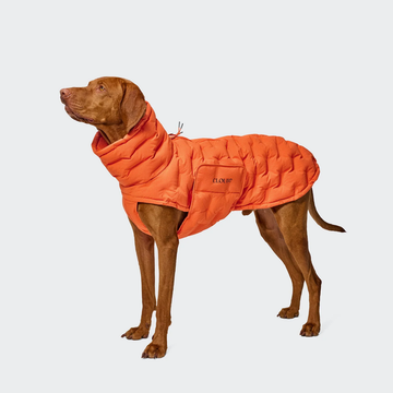 Cloud7 Alaska Seersucker // Ekstra varm vinterjakke til hunde (orange)