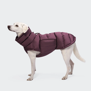 Cloud7 Alaska // Ekstra varm vinterjakke til hunde (aubergine)