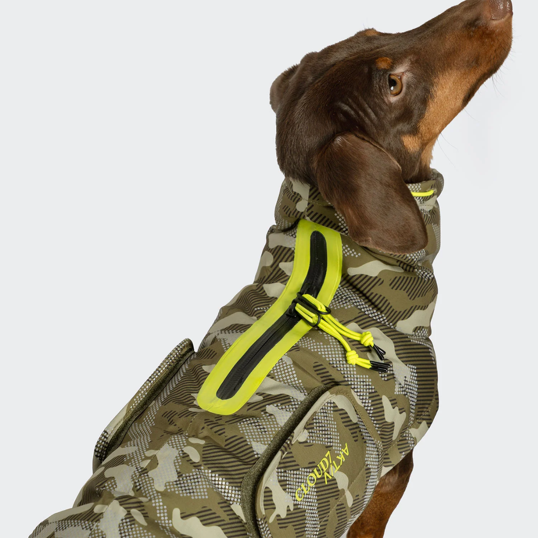 Cloud7 AKTIV Alaska, Gravhund // Varm og vandtæt vinterjakke (camo)