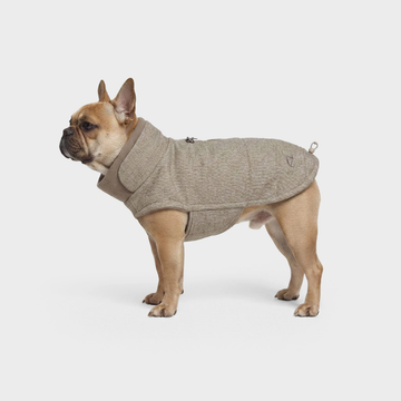 Cloud7 Brooklyn, Fransk Bulldog // Varmt og vandafvisende hundedækken (tweed beige)