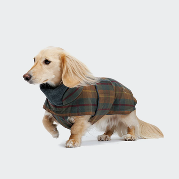 Cloud7 Brooklyn, Dachshund // Warm and water-repellent dog jacket (waxed tartan)*