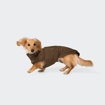 Cloud7 Derby, Gravhund // Varm og blød hundesweater (coffee)