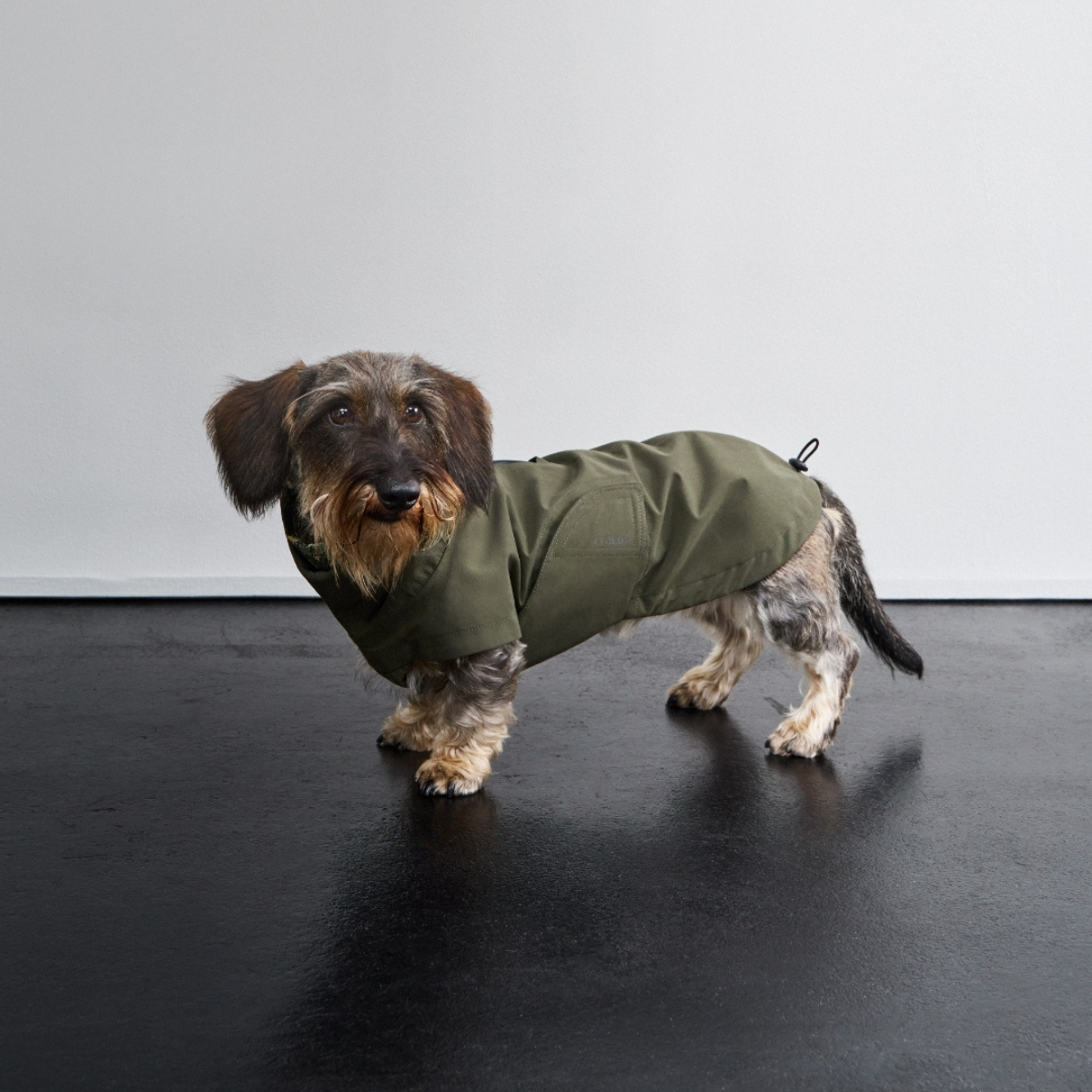 Cloud7 Dublin 2.0, Gravhund // Vand -og vindtæt regnjakke (dark olive)