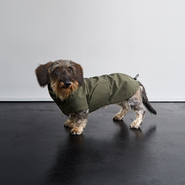 Cloud7 Dublin 2.0, Gravhund // Vand -og vindtæt regnjakke (dark olive)