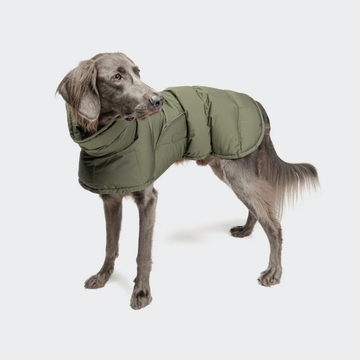 Cloud7 Everest // Meget varm vinterjakke til hunde (light olive)