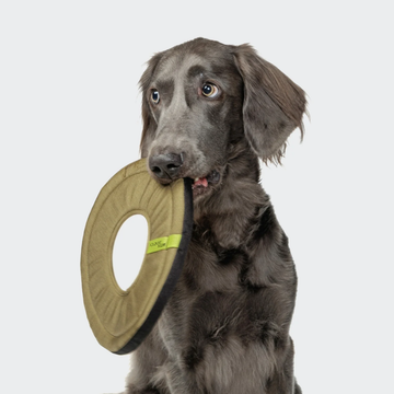 Cloud7 AKTIV Frisbee // Skånsom og slidstærk frisebee (olive)