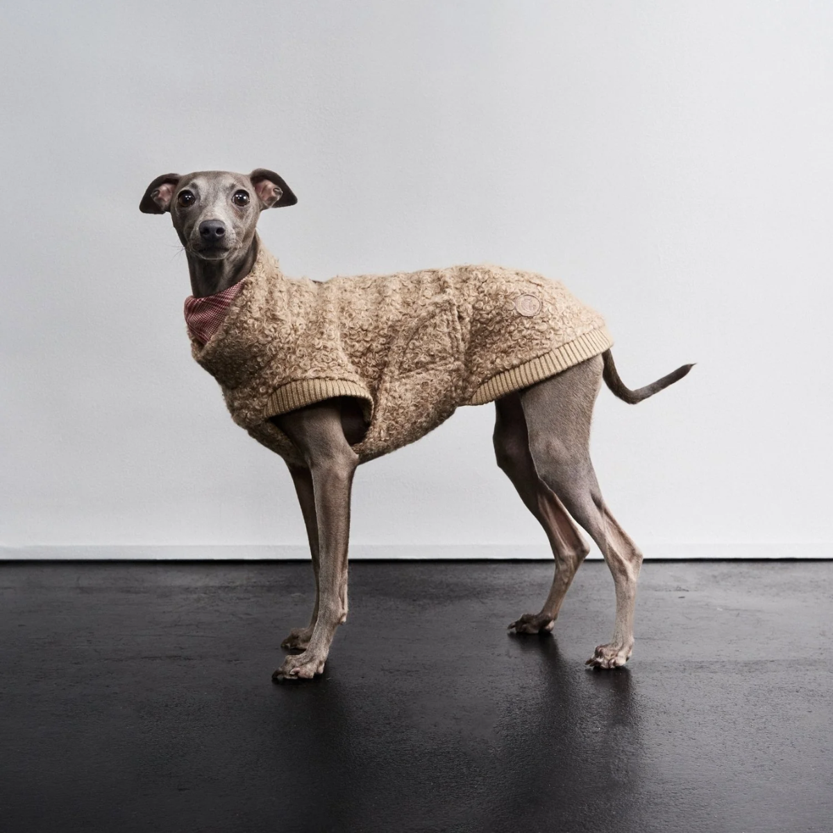 Cloud7 Gotland // Varm og blød hundesweater i bouclé (sandy brown)