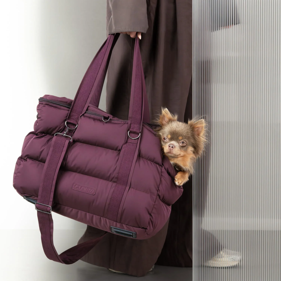 Cloud7 Montreal 2.0 // Vandafvisende og letvægts hundetaske (aubergine)