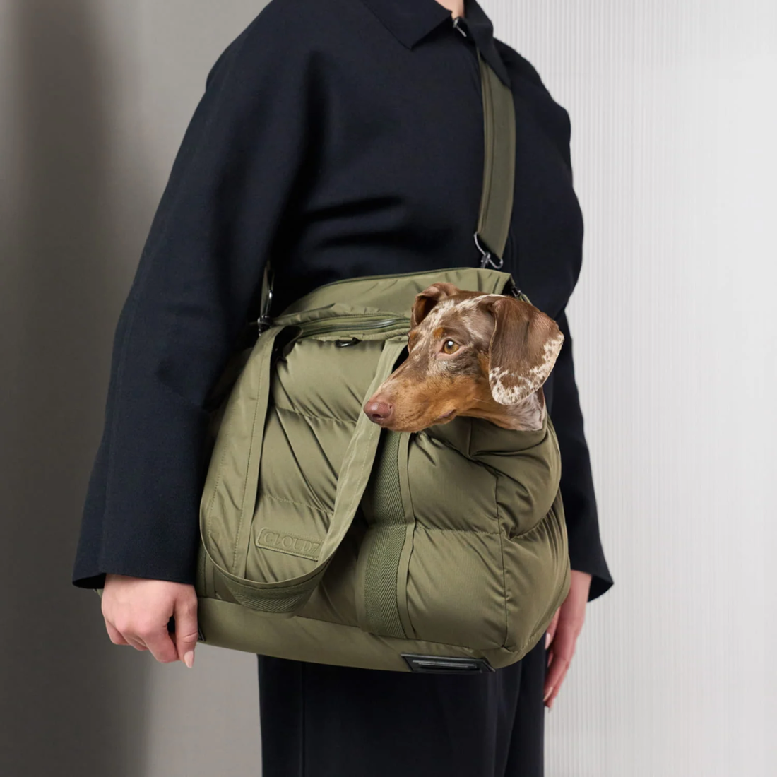 Cloud7 Montreal 2.0 // Vandafvisende og letvægts hundetaske (light olive)
