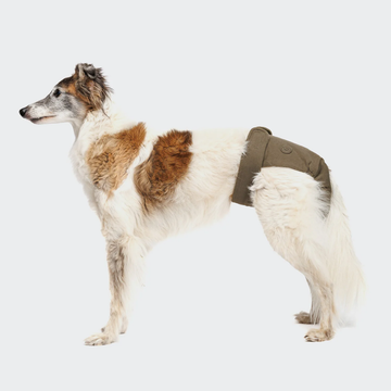 Cloud7 Dog Panties // Good-fitting period pants (olive)