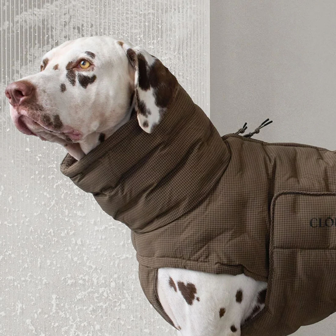 Cloud7 Alaska Seersucker // Extra Warm Winter Dog Coat (coffee)