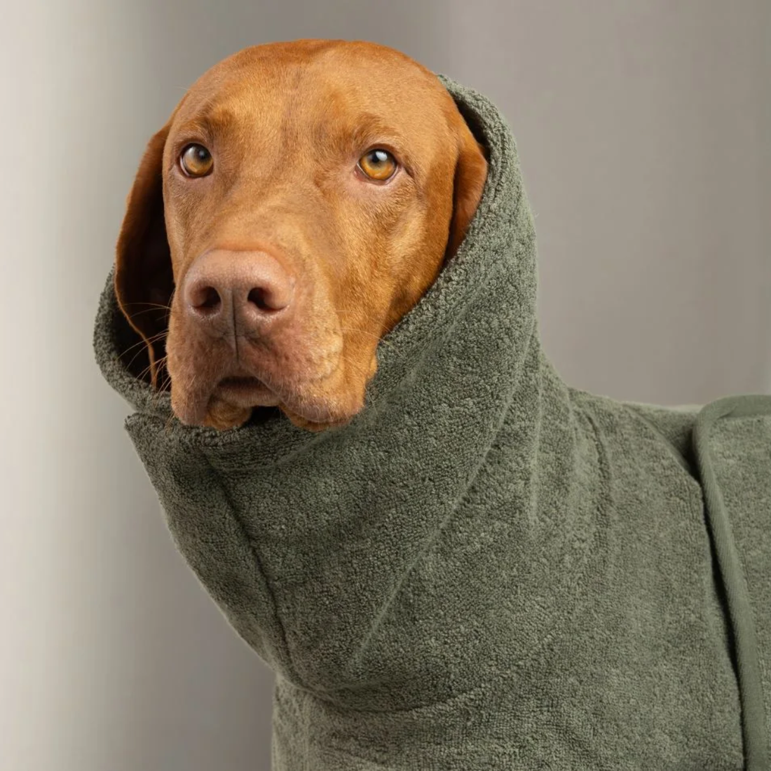 Cloud7 Wannsee Bathrope // Absorberende badekåbe til hunde (sage)
