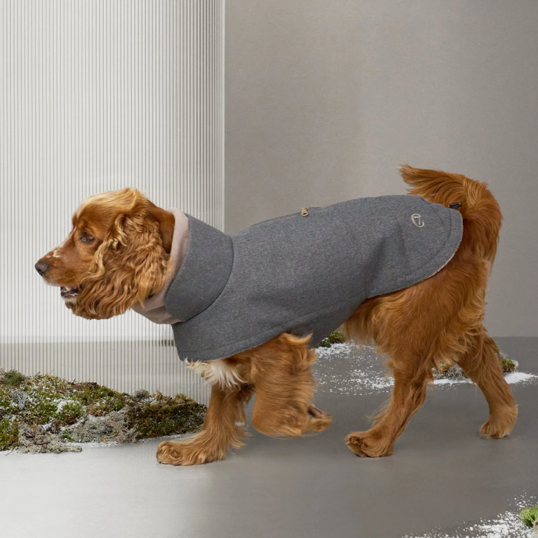 Cloud7 Brooklyn // Warm and water-repellent dog jacket (graphite) Size 1