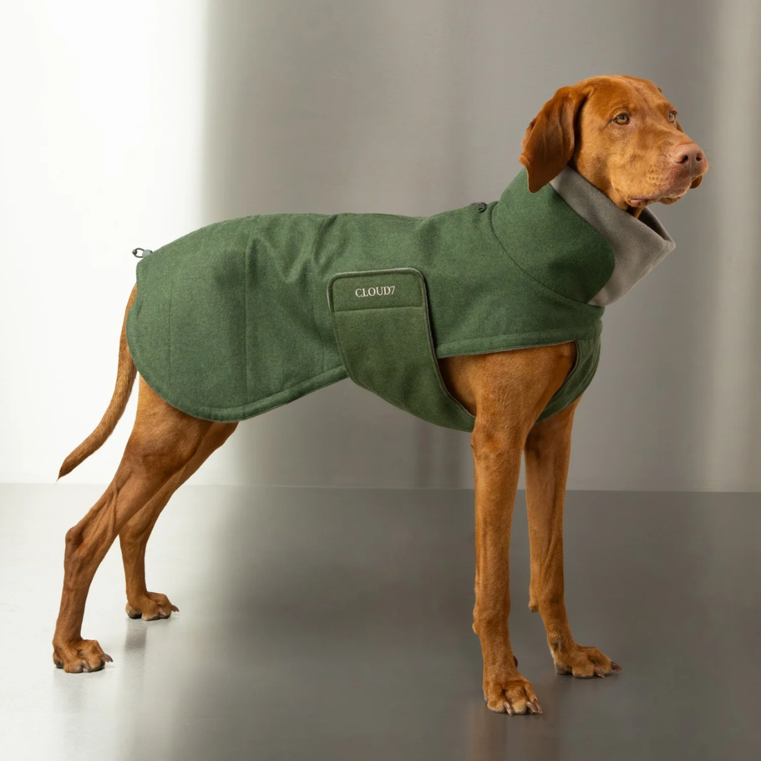 Cloud7 Brooklyn Long // Warm and waterproof dog jacket (fern green)