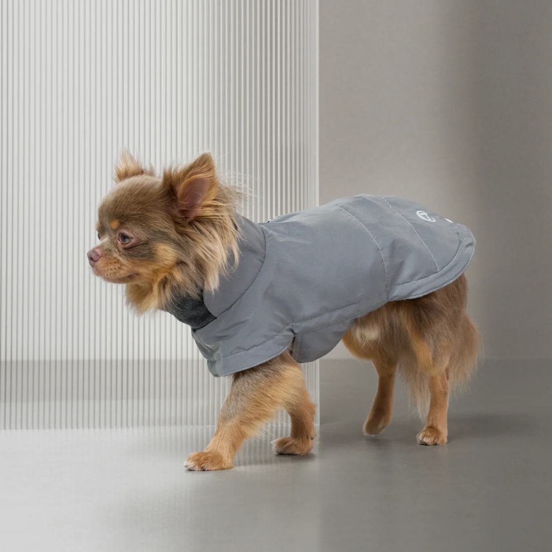 Cloud7 Brooklyn // Warm and water-repellent dog jacket (reflective)