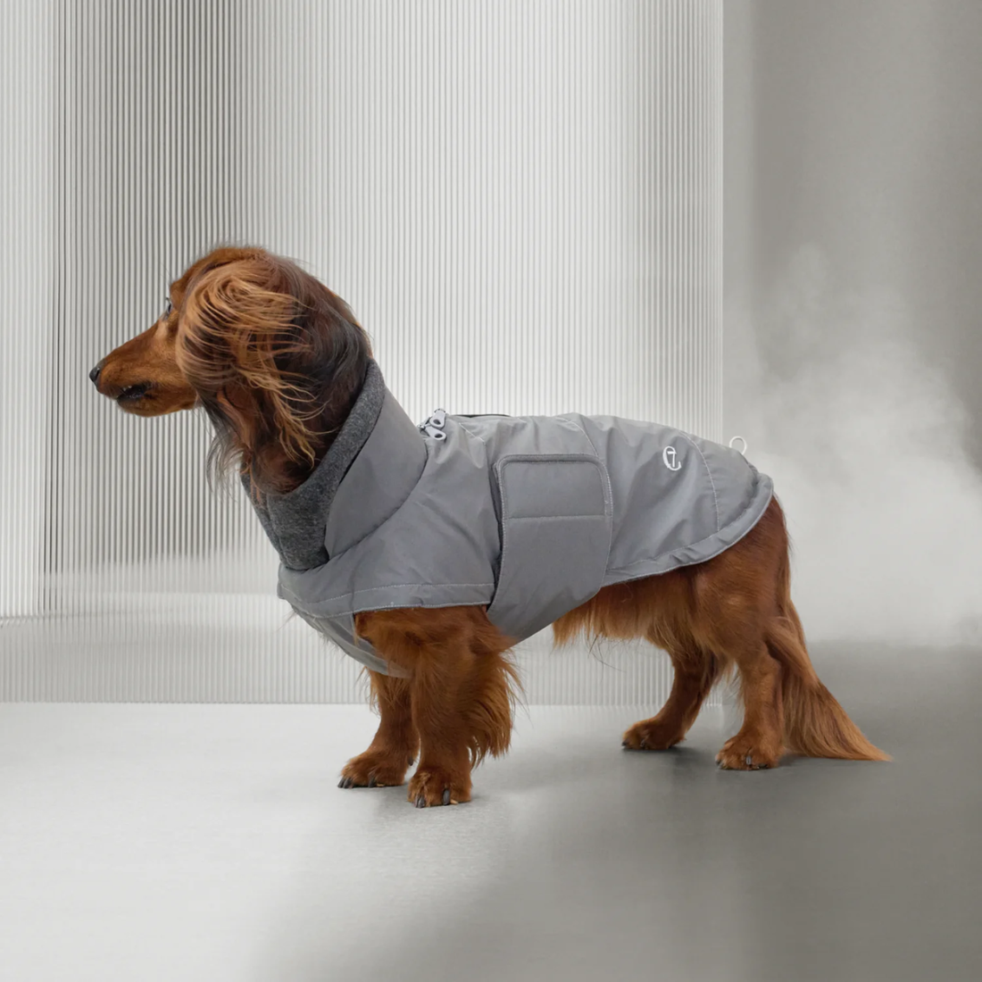 Cloud7 Brooklyn, Dachshund // Warm and water-repellent dog jacket (reflective)