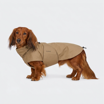 Cloud7 Dublin 2.0, Dachshund // Water and windproof rain jacket (sandy brown)