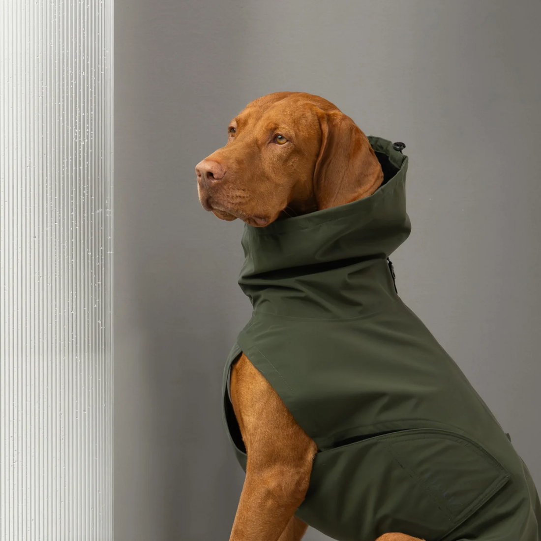 Cloud7 Dublin 2.0 // Waterproof and windproof rain jacket (dark olive)