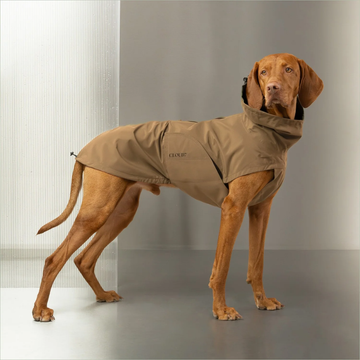 Cloud7 Dublin 2.0 // Waterproof and windproof rain jacket (sandy brown)