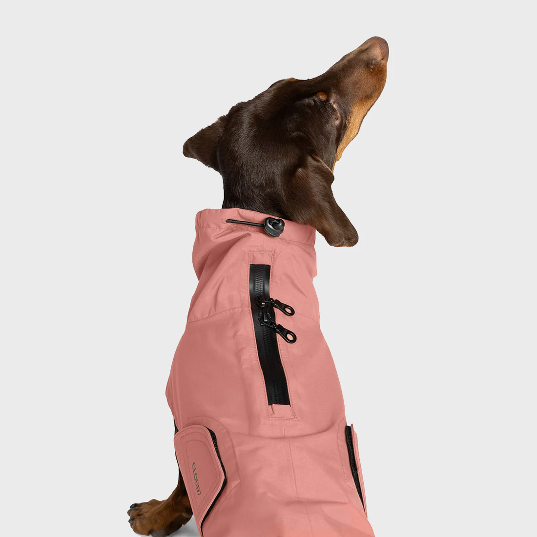 Cloud7 Dublin 2.0, Dachshund // Water and windproof raincoat (faded rose)