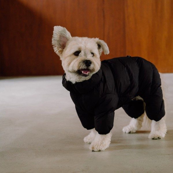 Cushycushy Onesie // Jumpsuit that doesn't have to go over your head (pure black) Size 2