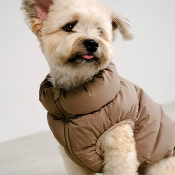 Cushycushy Vest // Dog jacket that doesn't go over the head (mocha)