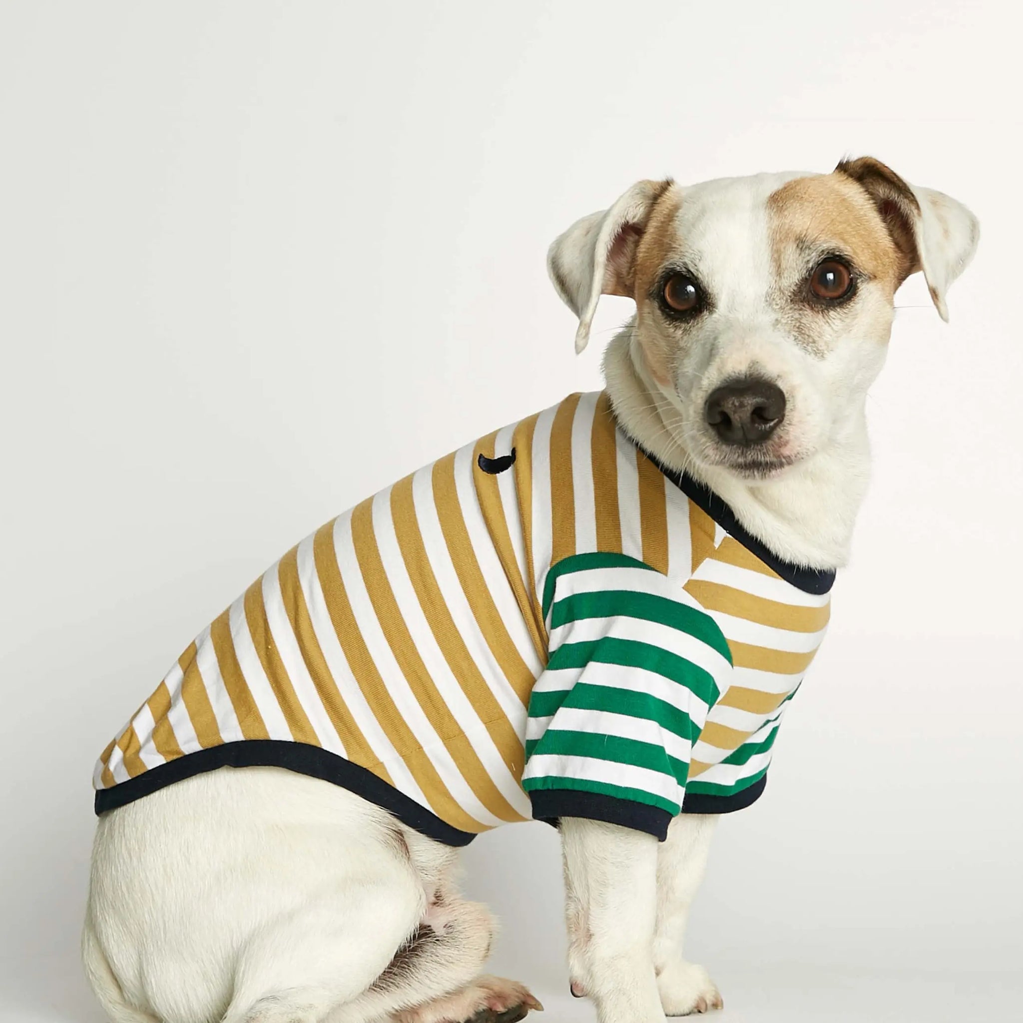 David T-shirt // Dog shirt with sleeves in organic cotton (dijon/green)