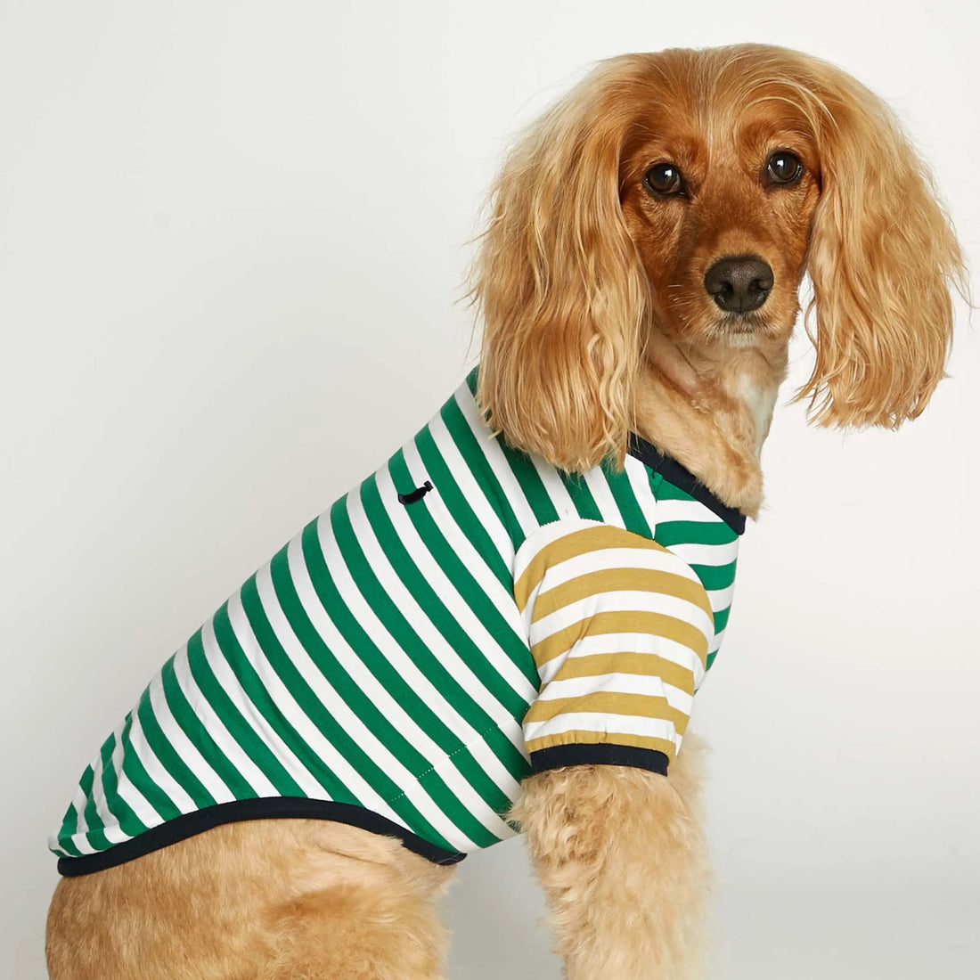David T-shirt // Hundetrøje med ærmer i økologisk bomuld (grøn/dijon)