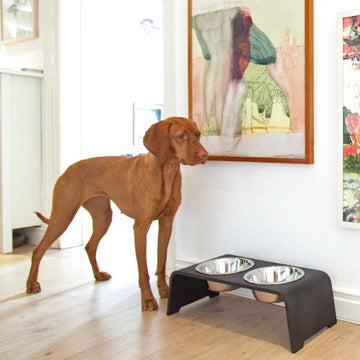 DogBar, Stål Skåle // Foder- og vandskåle stativ (mørk eg)
