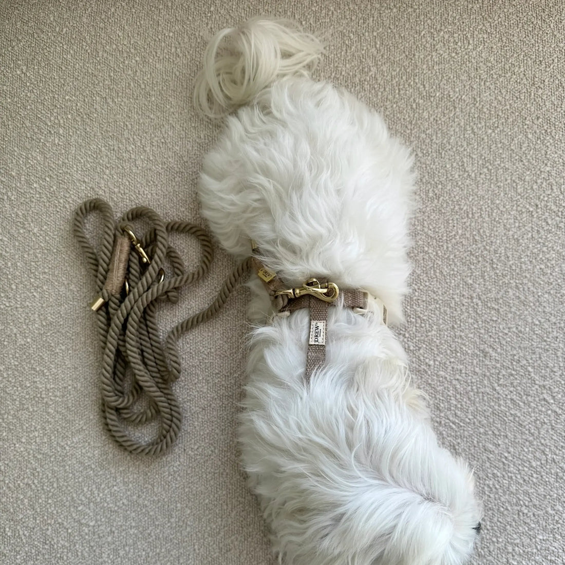 Drew's Dogwear Khaki // Justerbar og blød rebline (khaki)