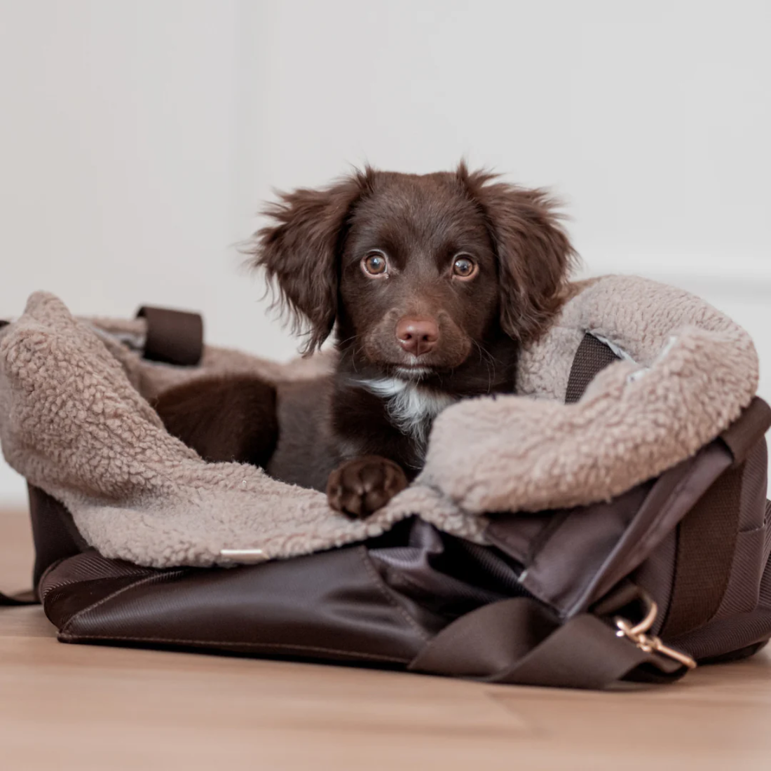 Drew's Dogwear Cali // Hundetaske med teddy inderfor